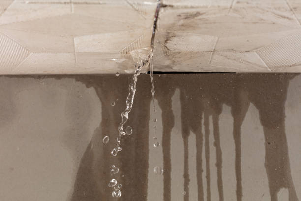 Professional Flood Damage Cleanup technician working in Sanborn, IA